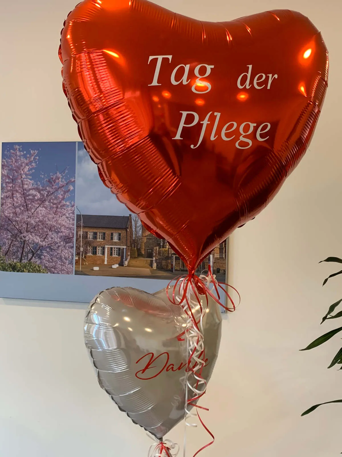 Ballonius, herzförmige Luftballons