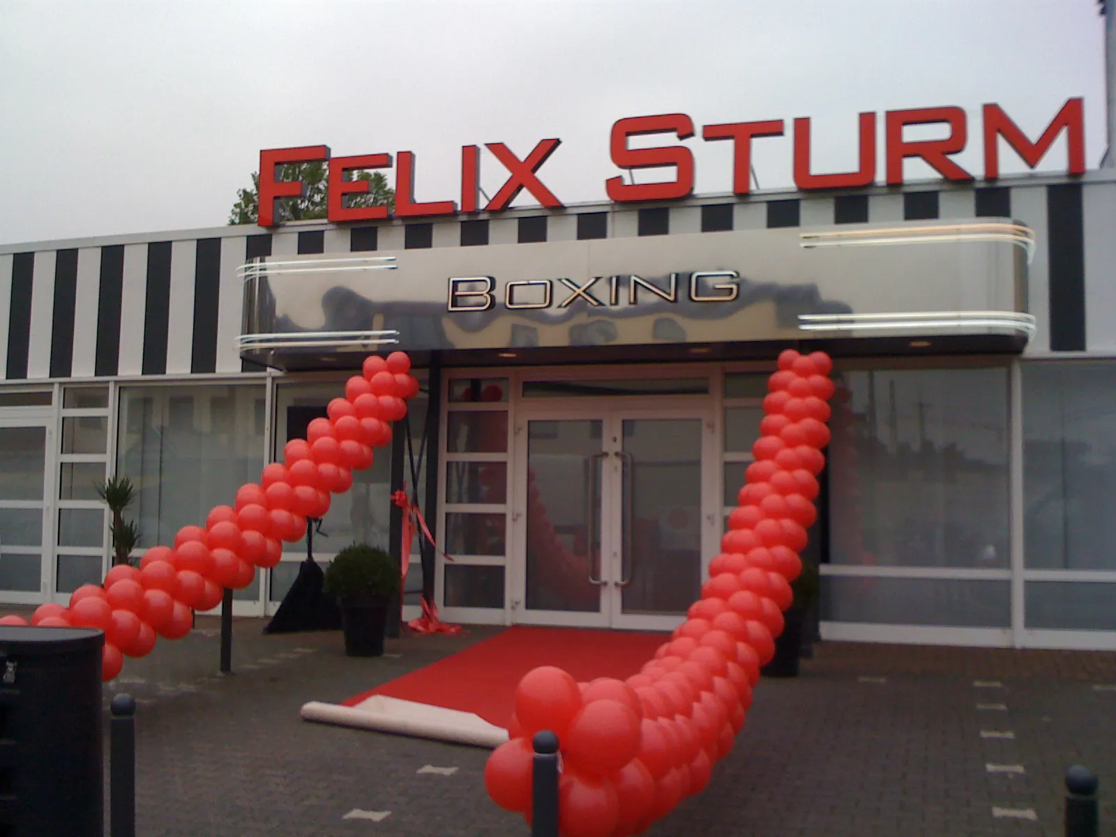 Ballonius, Ballondekoration für den Außenbereich