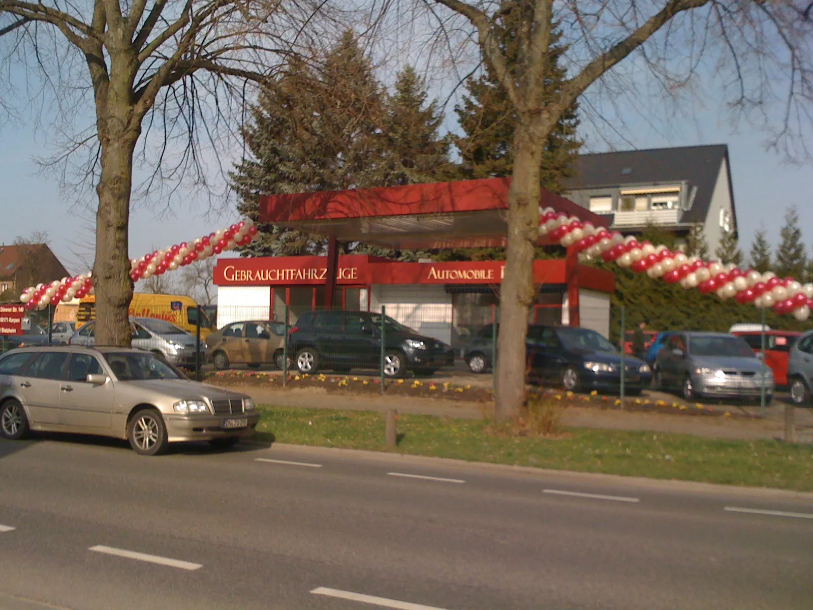 Ballonius, Ballondekoration für den Außenbereich