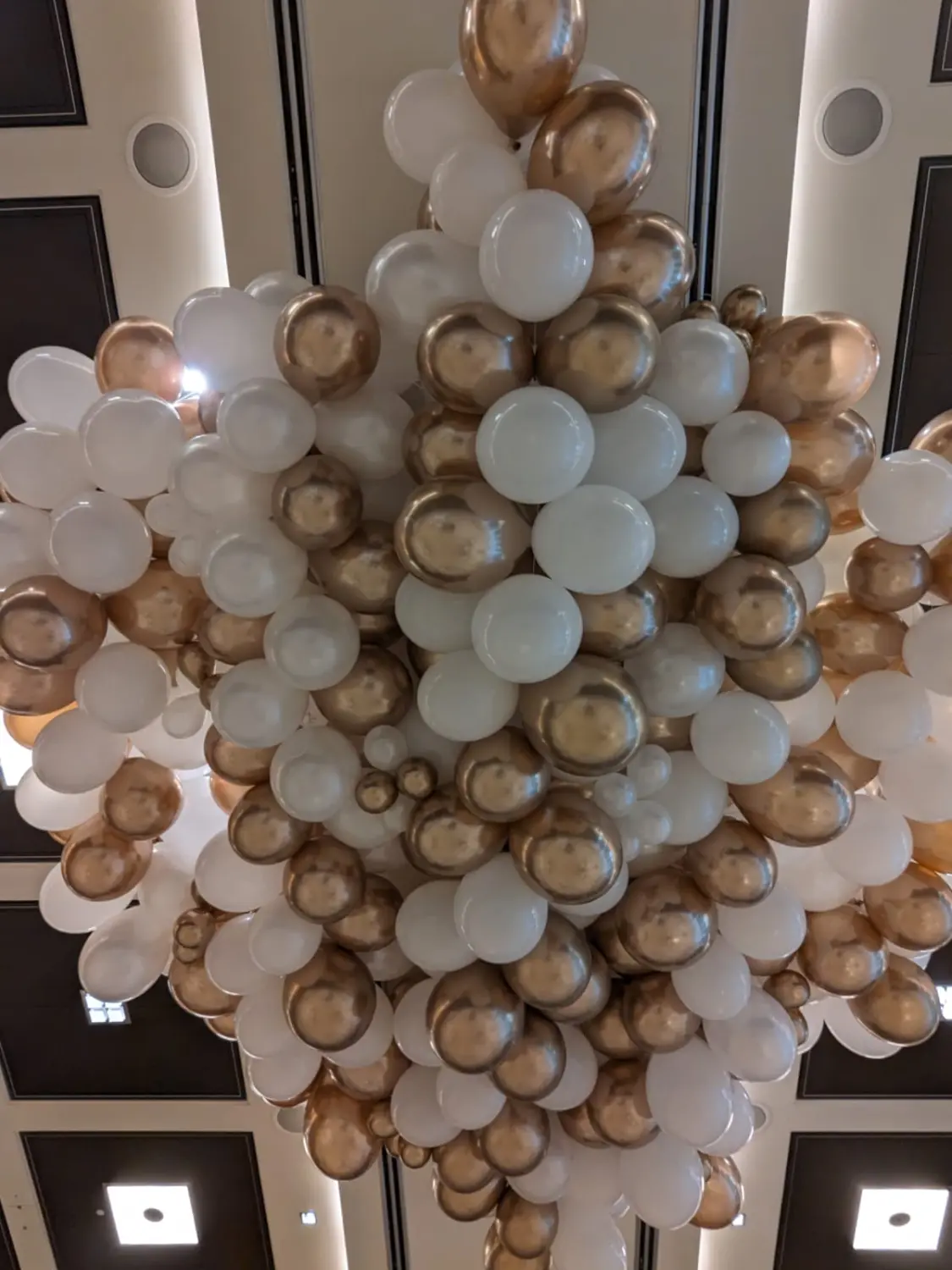 Ballonius, Ballondekoration für den Innenbereich