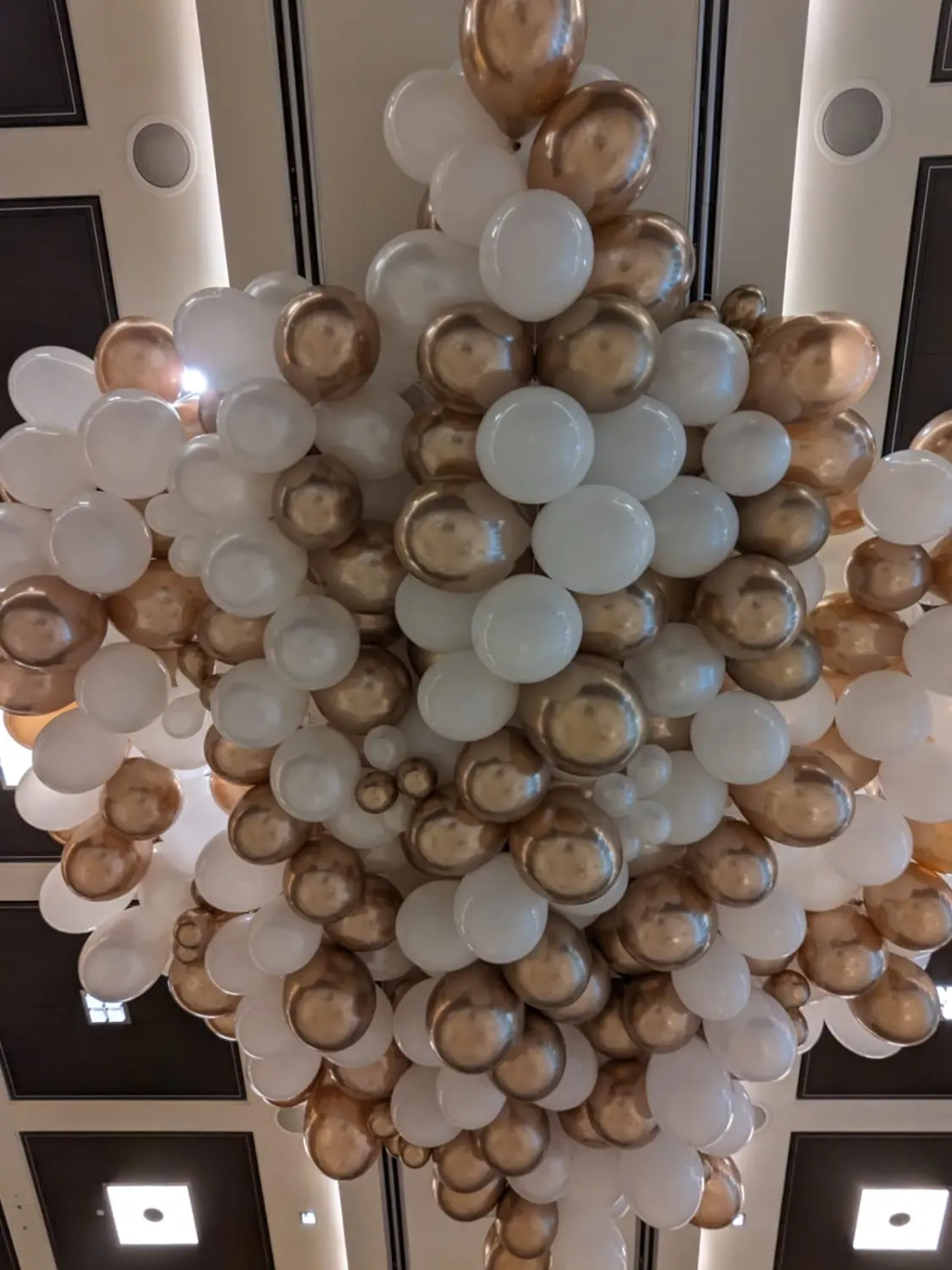 Ballonius, Ballondekoration für den Innenbereich