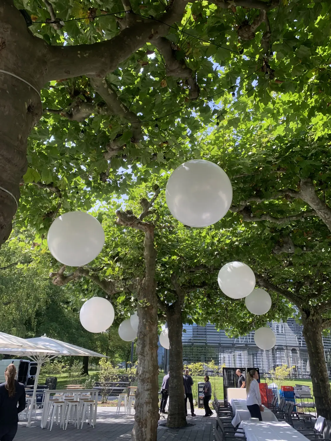 Ballonius, Ballondekoration für den Außenbereich